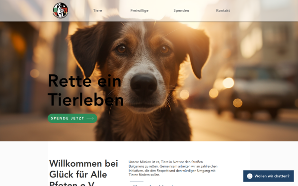 www.glueckfuerallepfoten.de