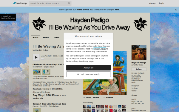haydenpedigo.bandcamp.com