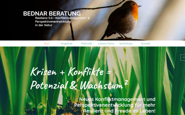 www.bednar-beratung.ch