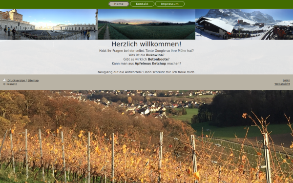 www.iwanetz.de