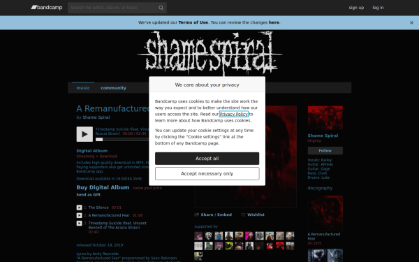shamespiralva.bandcamp.com