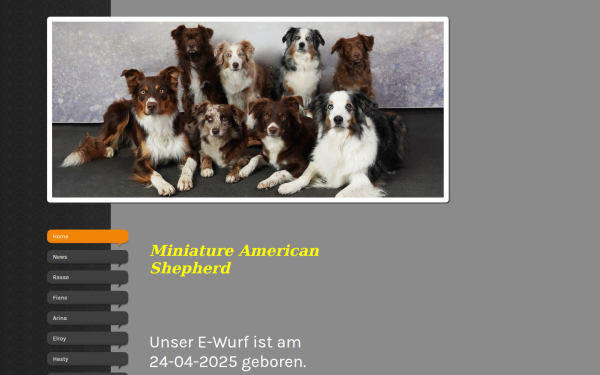 www.lovely-dream-paws.de
