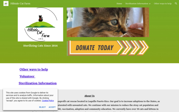 www.hillsidecatfarm.org