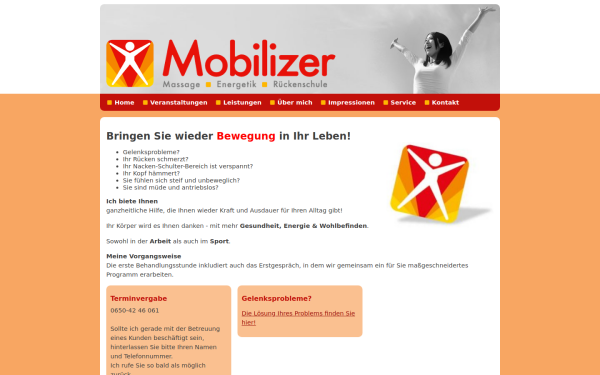 www.mobilizer.co.at