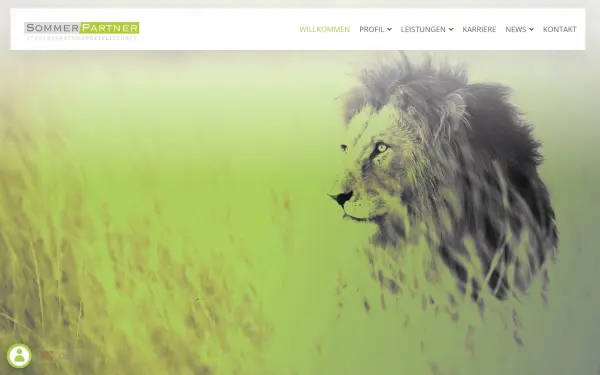 sommerpartner.de