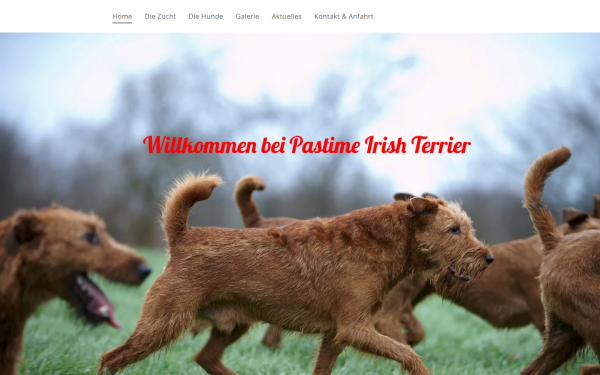 www.pastime-irish-terrier.de
