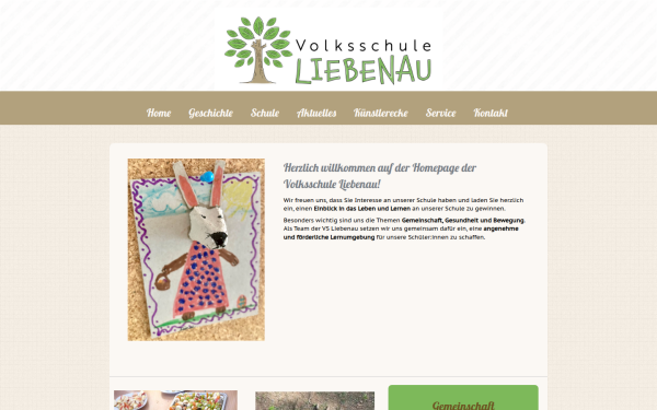 vsliebenau-ooe.at