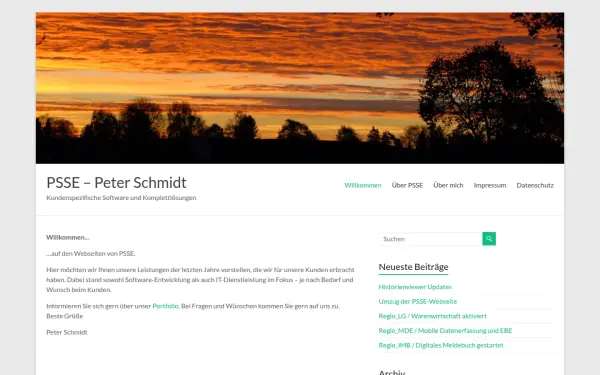 www.psse.de