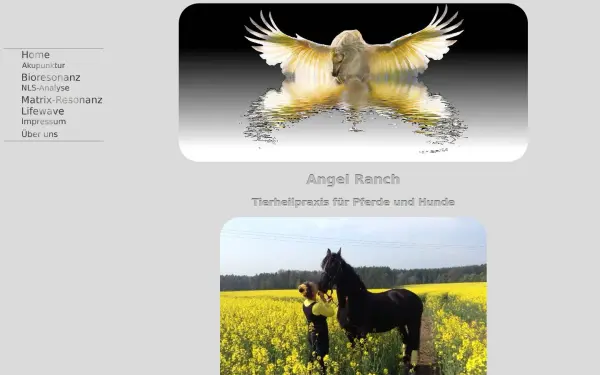 angel-ranch.de