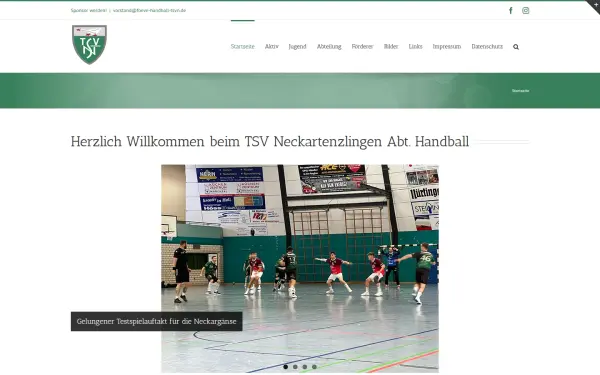 handball-neckartenzlingen.de