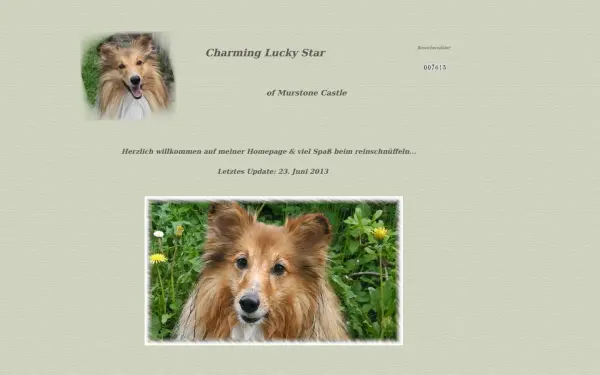 lucky-sheltie.de