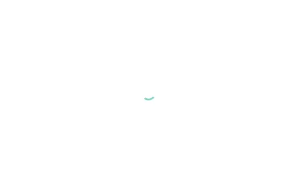 alibiservice.de