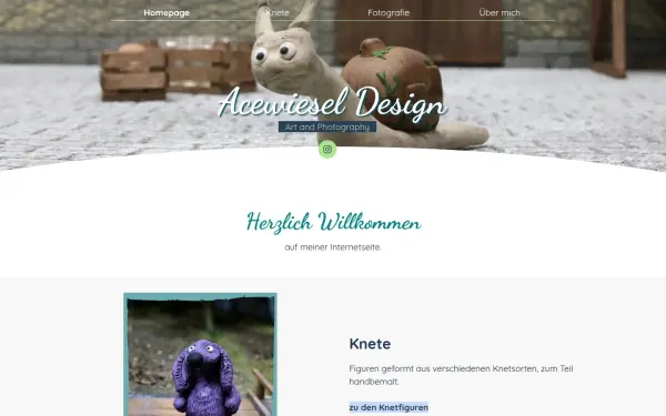 acewiesel.de