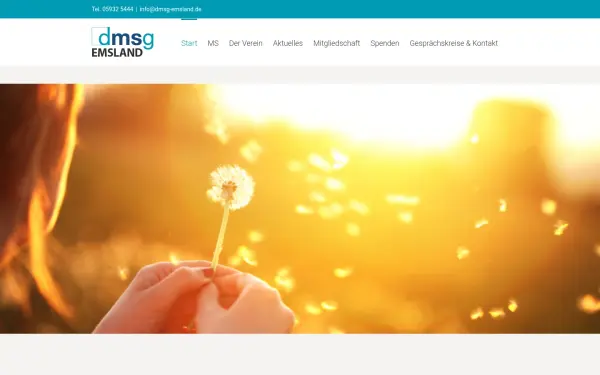 www.dmsg-emsland.de