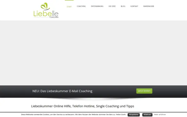 liebelle-coaching.de