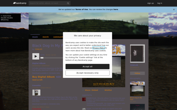 yowler.bandcamp.com
