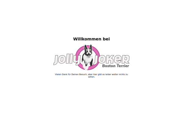 bostonterrier-online.de