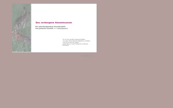 hasenmuseum.de