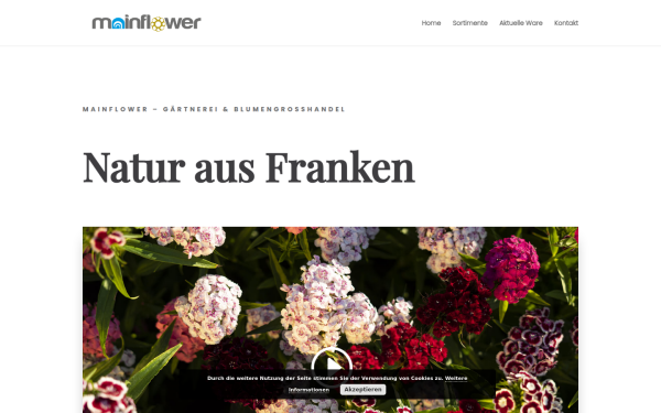 main-flower.de
