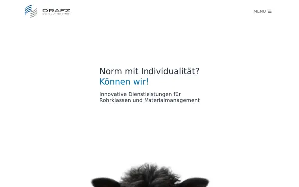 drafz-consulting.de