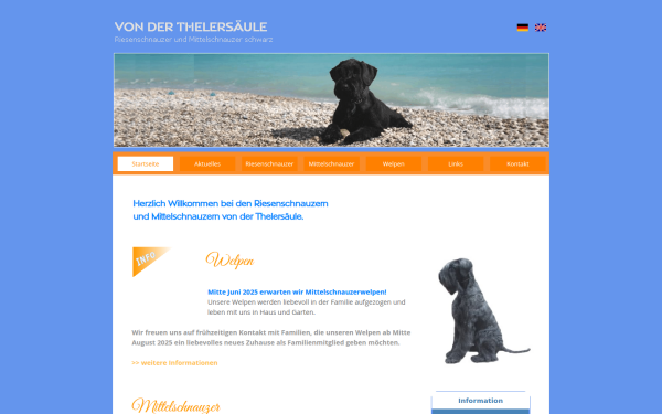 mittelschnauzer-riesenschnauzer.de