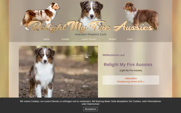 relightmyfire-aussies.de