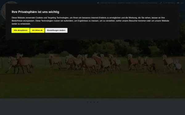 haflingerhof-noack.de