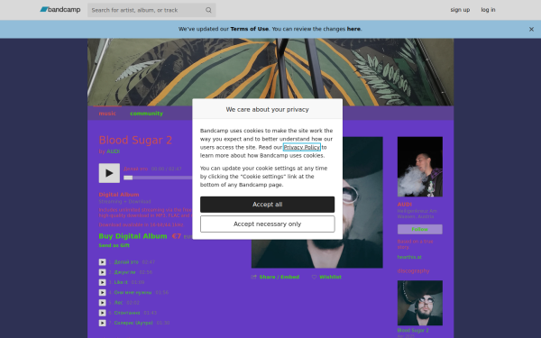 liquidmirrors.bandcamp.com