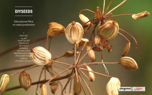 www.diyseeds.org