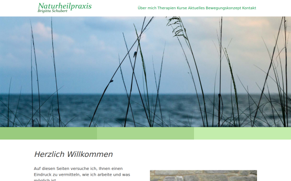 hp-brigittaschubert.de