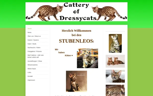 www.dressycats.de