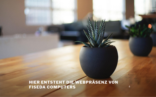 fiseda.de