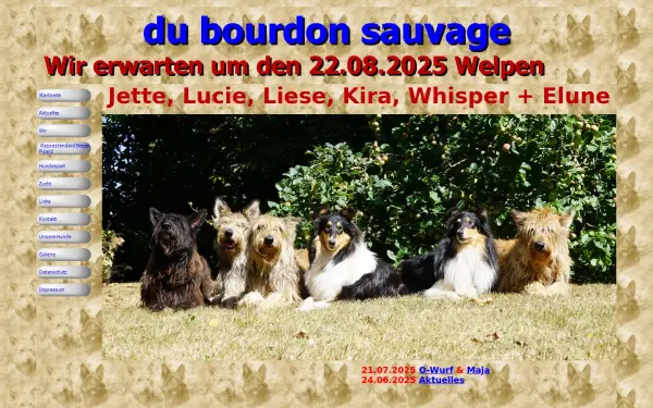 www.derpicard.de