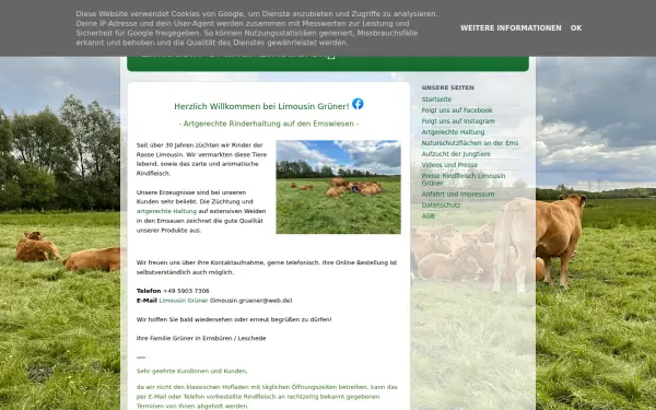 limousin-gruener.blogspot.com