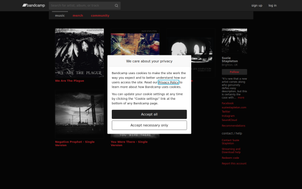 suziestapleton.bandcamp.com