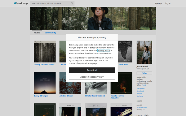 jessiereid1.bandcamp.com