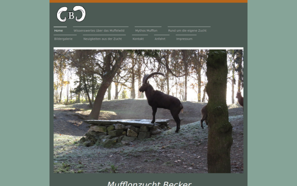 www.mufflonzucht-becker.de