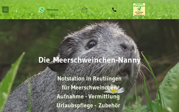 www.meerschweinchen-nanny.de
