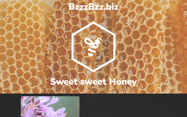 bzzzbzz.biz