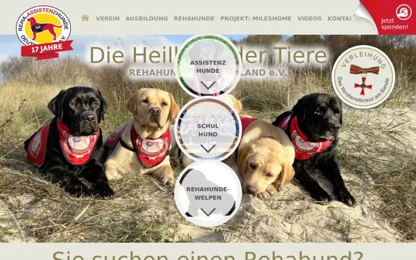 www.rehahunde.de