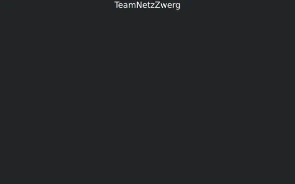 www.teamnetzzwerg.de