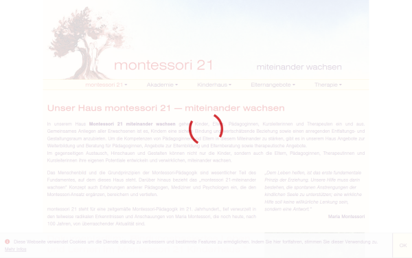 www.montessori21.de