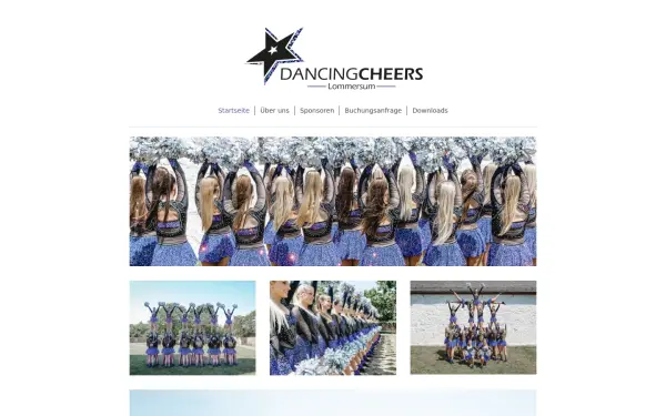 www.dancing-cheers.de