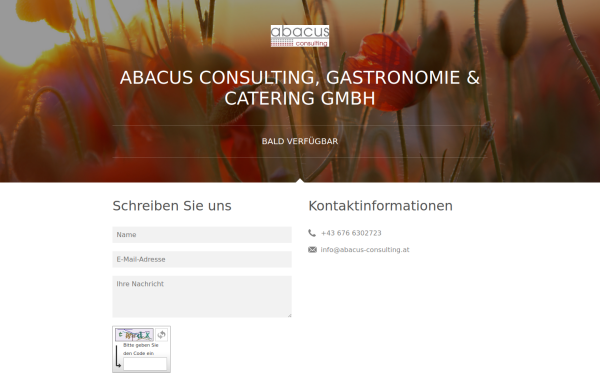 www.abacus-consulting.at