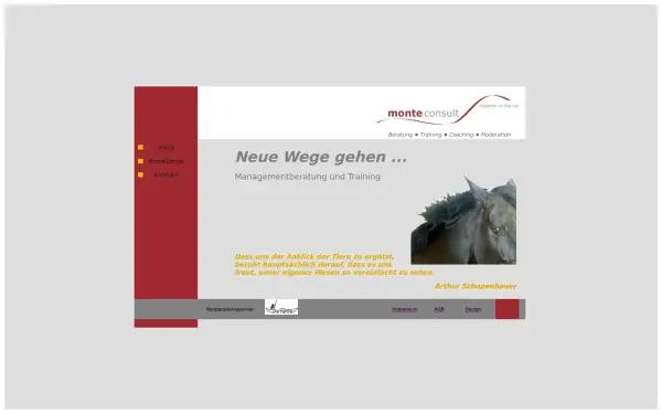 balogh-consulting.de