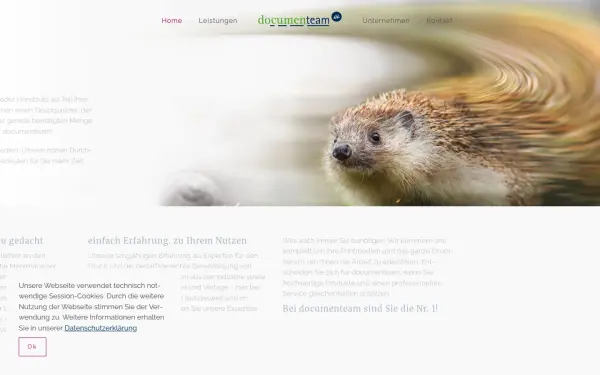 www.documenteam.de