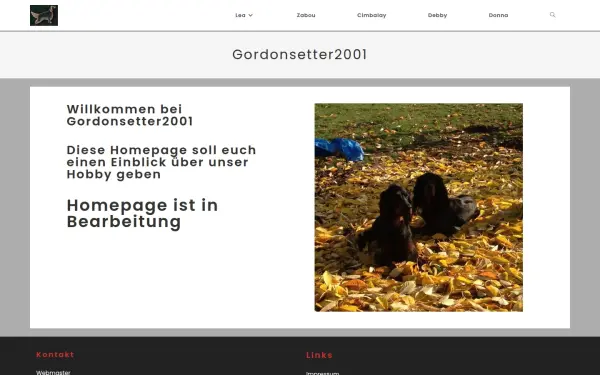 gordonsetter2001.de