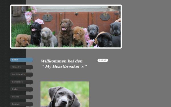 www.myheartbreakers.de