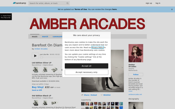 amberarcades.bandcamp.com