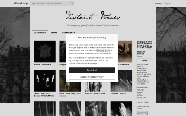 distantvoices.bandcamp.com